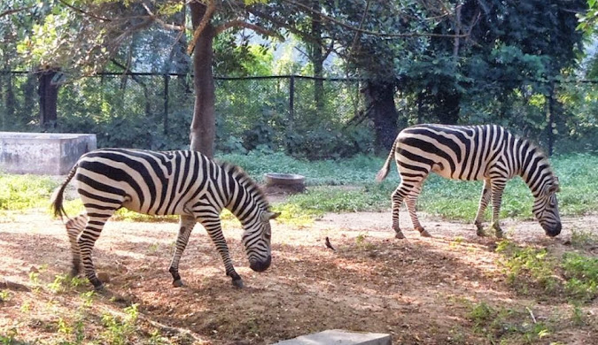 Bihar ko Bihari kyu kaha jata hai?